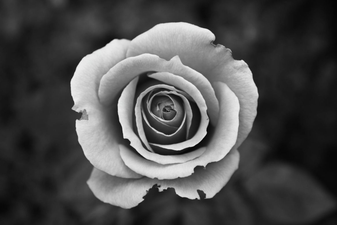 The Allure of Black and White Photography